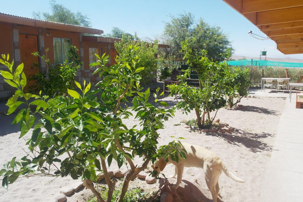 Complejo Turistico El Toconar Villa Toconao Ngoại thất bức ảnh
